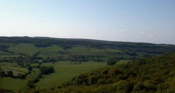 vue