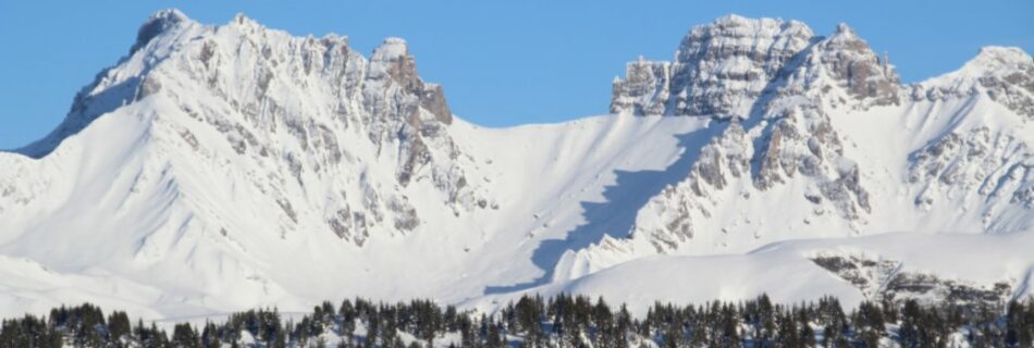 paysage1