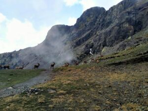 Compte rendu de la sortie en Matheysine et en Oisans du 17 au 24 mai 2025